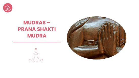 30. Mudras – Prana Shakti Mudra avec Laurence Davant